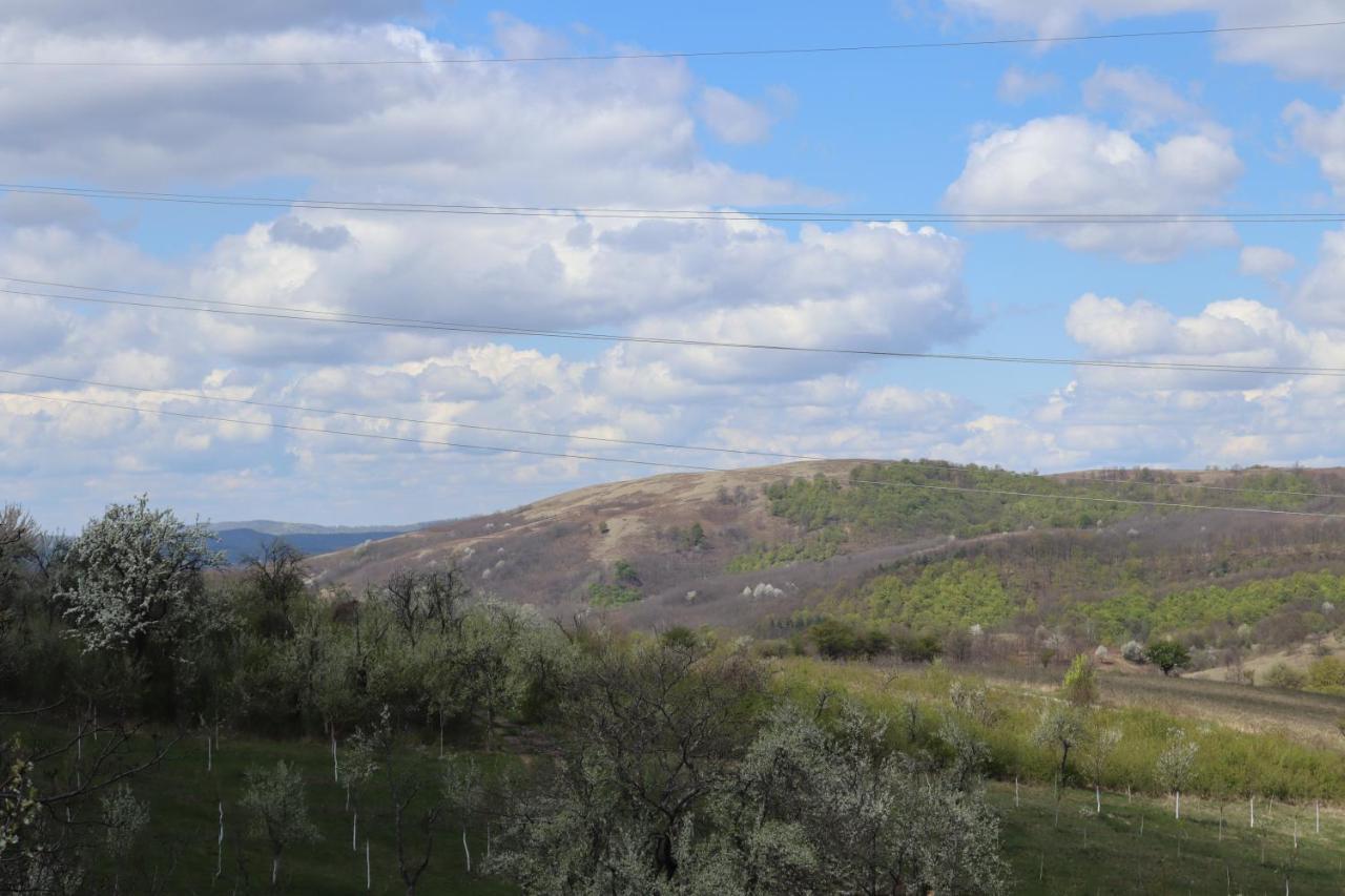 Salas U Bregu In Cheile Carasului Crasova Luaran gambar