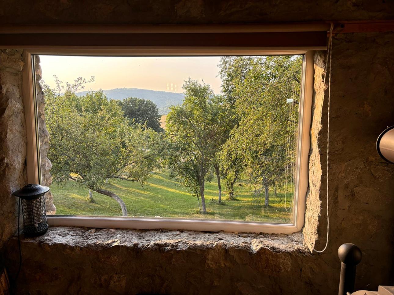 Salas U Bregu In Cheile Carasului Crasova Luaran gambar