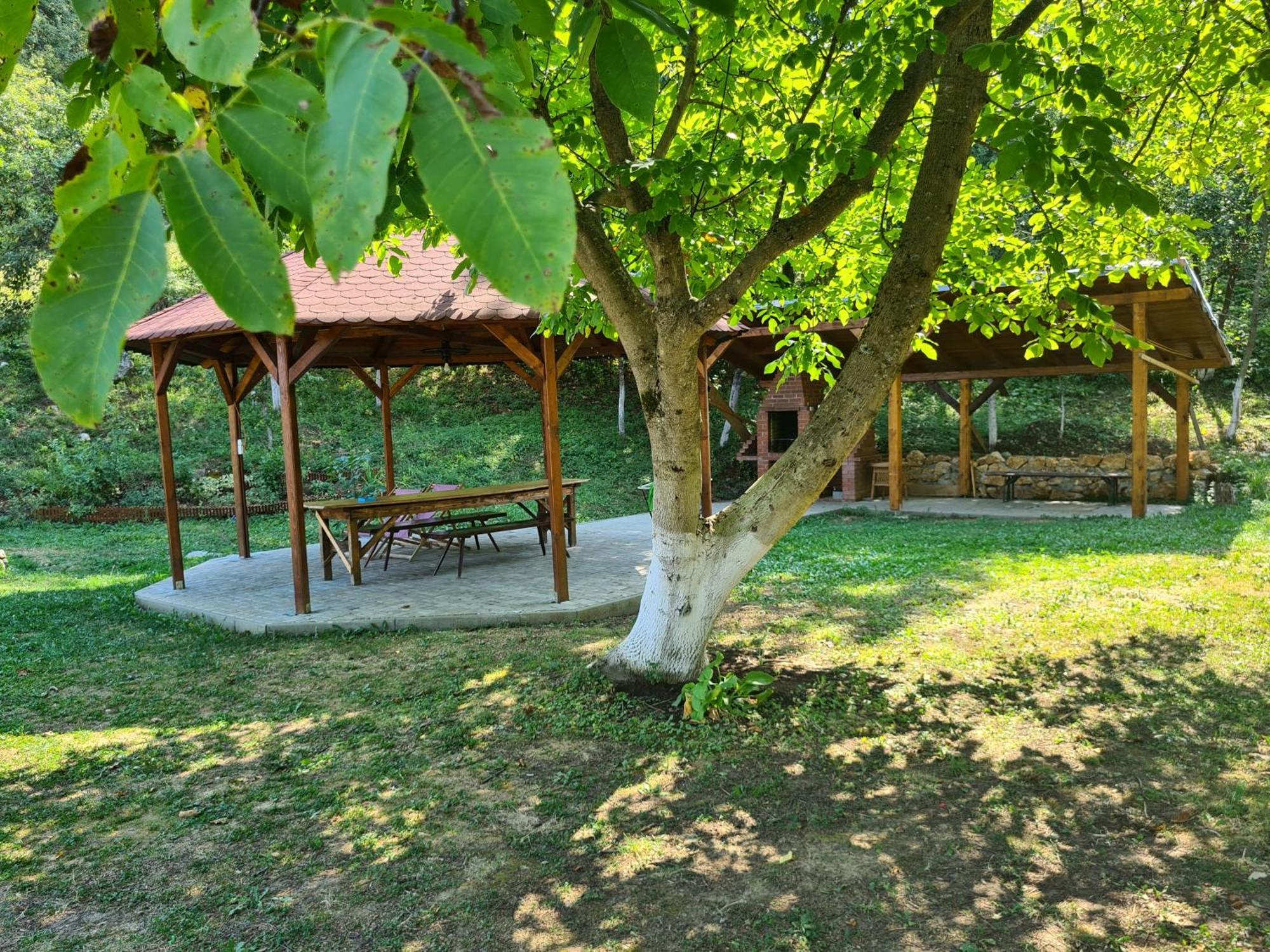 Salas U Bregu In Cheile Carasului Crasova Luaran gambar